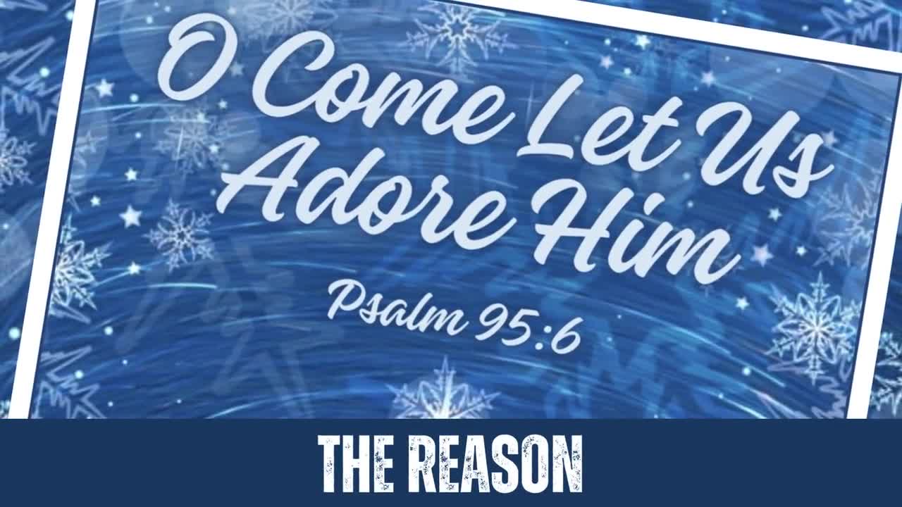 Psalm 95:6 Holly Boxed Note Cards Psalm 95:6 Holly Boxed Note Cards