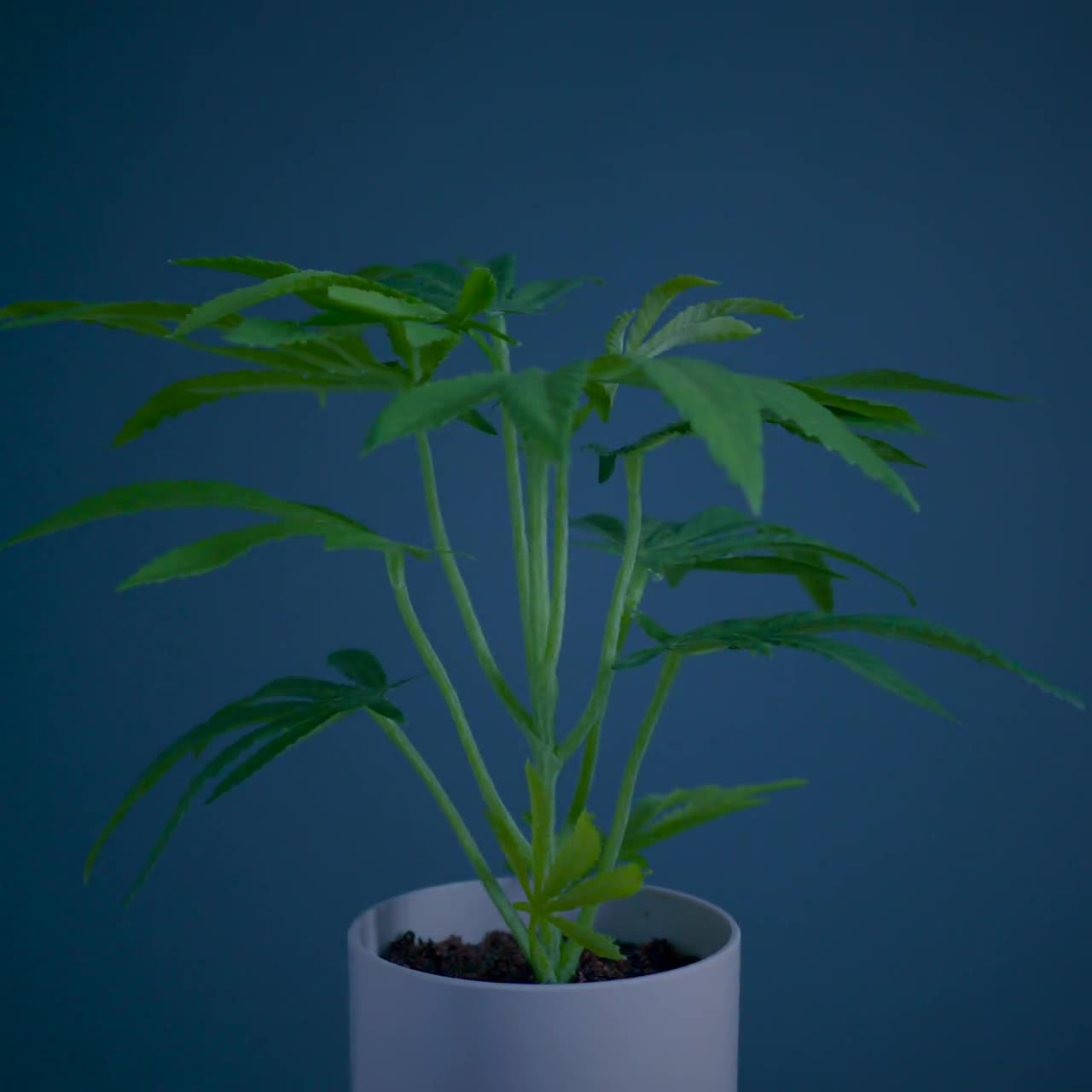 3pack Mini fausses plantes dans des pots, plantes artificielles d