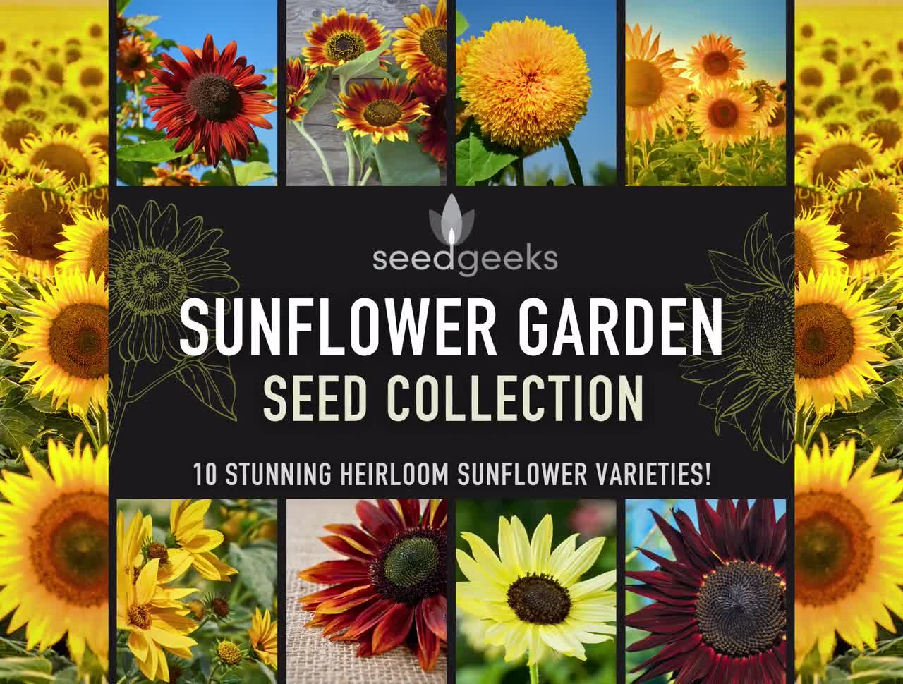 Flower Seed Collection - 8 Flower Varieties - SurvivalGardenSeeds