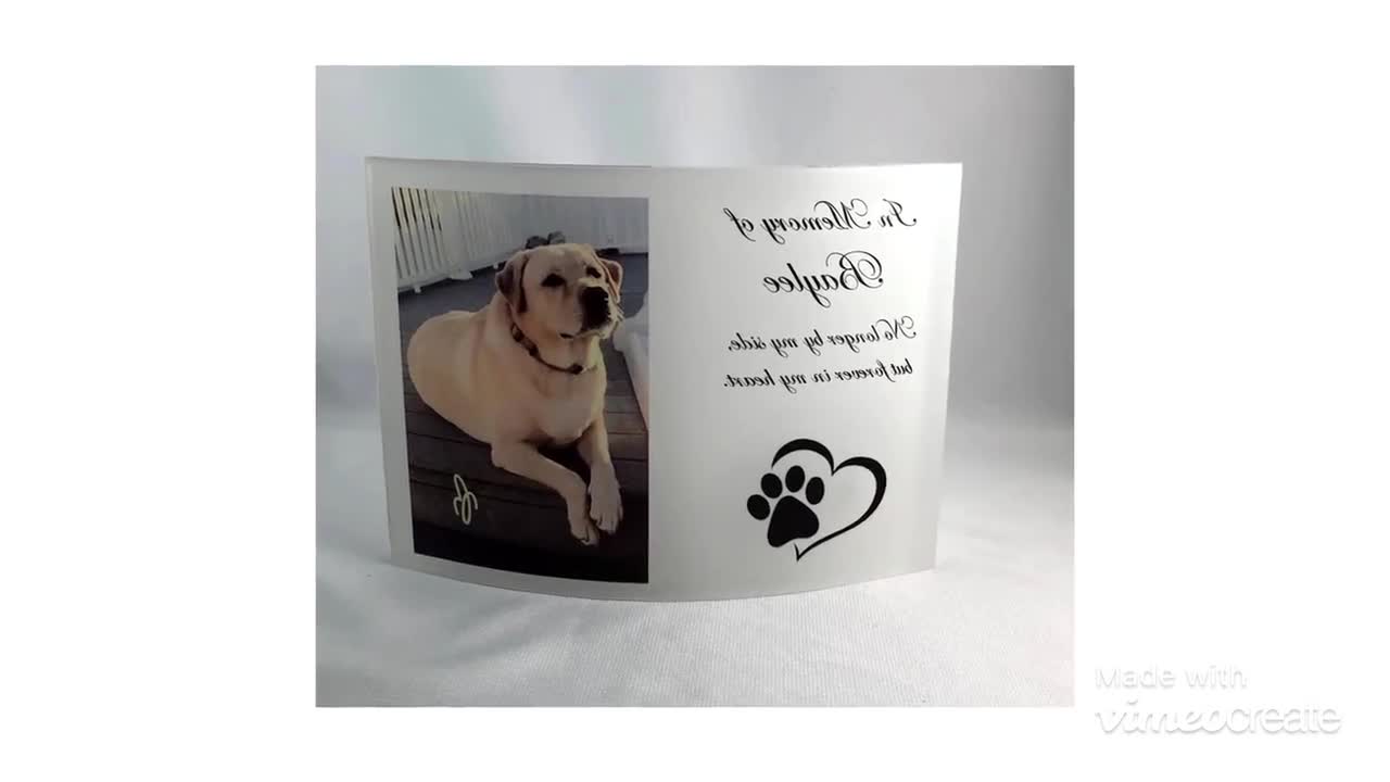 Party to Be Cadeau Commémoratif avec Photo Personnalisé pour Chien Chat  Décédé Plaque Acrylic avec Socle LED Lumineux pour Animaux de Compagnie à