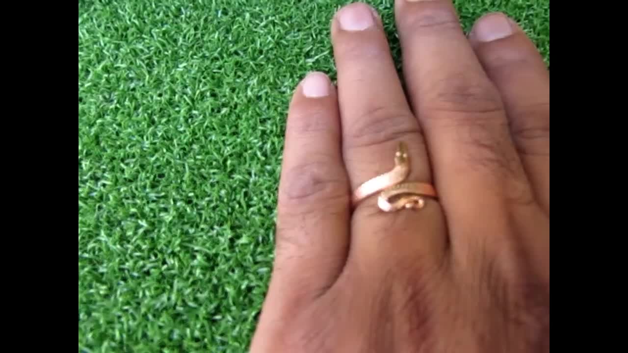 Sterling Silver Snake Ring | Snake Fashion™