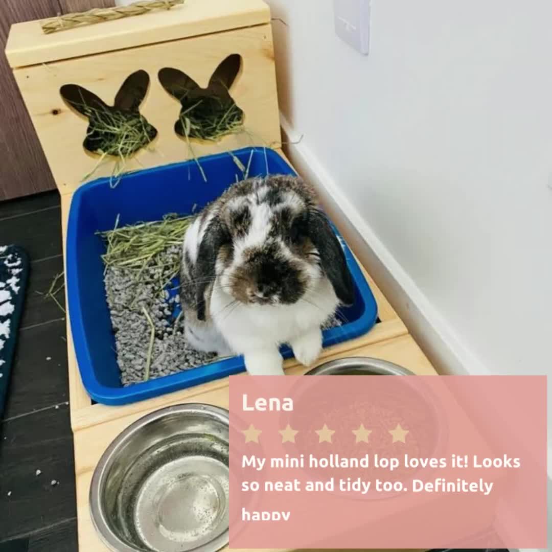 Pet rabbit litter box discount