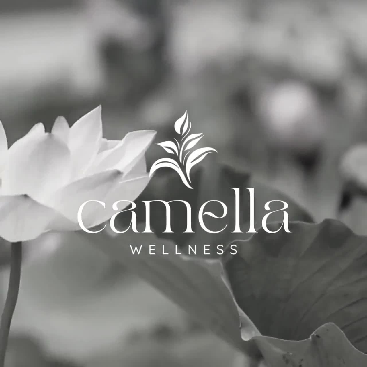 Minimalistisches Wellness Branding Kit, Canva Logo & Brand Board, bearbeitbare Geschäftsidentität, digitaler Download video poster