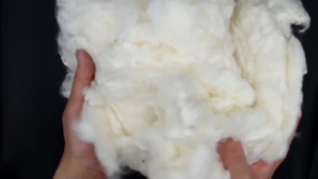 Grown in The USA Raw Cotton Stuffing / Batting. 3lb