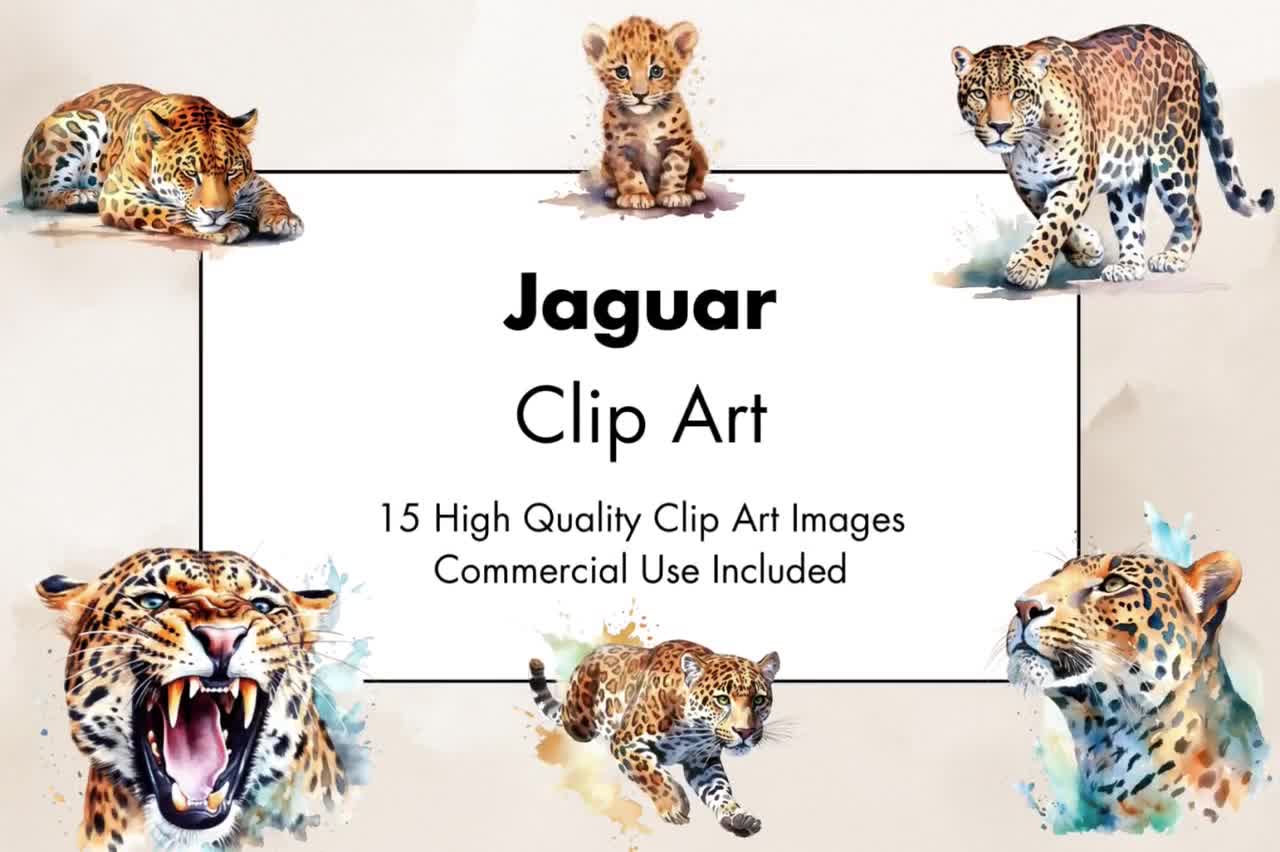 Jaguar Clipart - 15 High Quality JPGs - White & Transparent Background - Watercolor Illustration- Digital Download - Commercial Use video poster