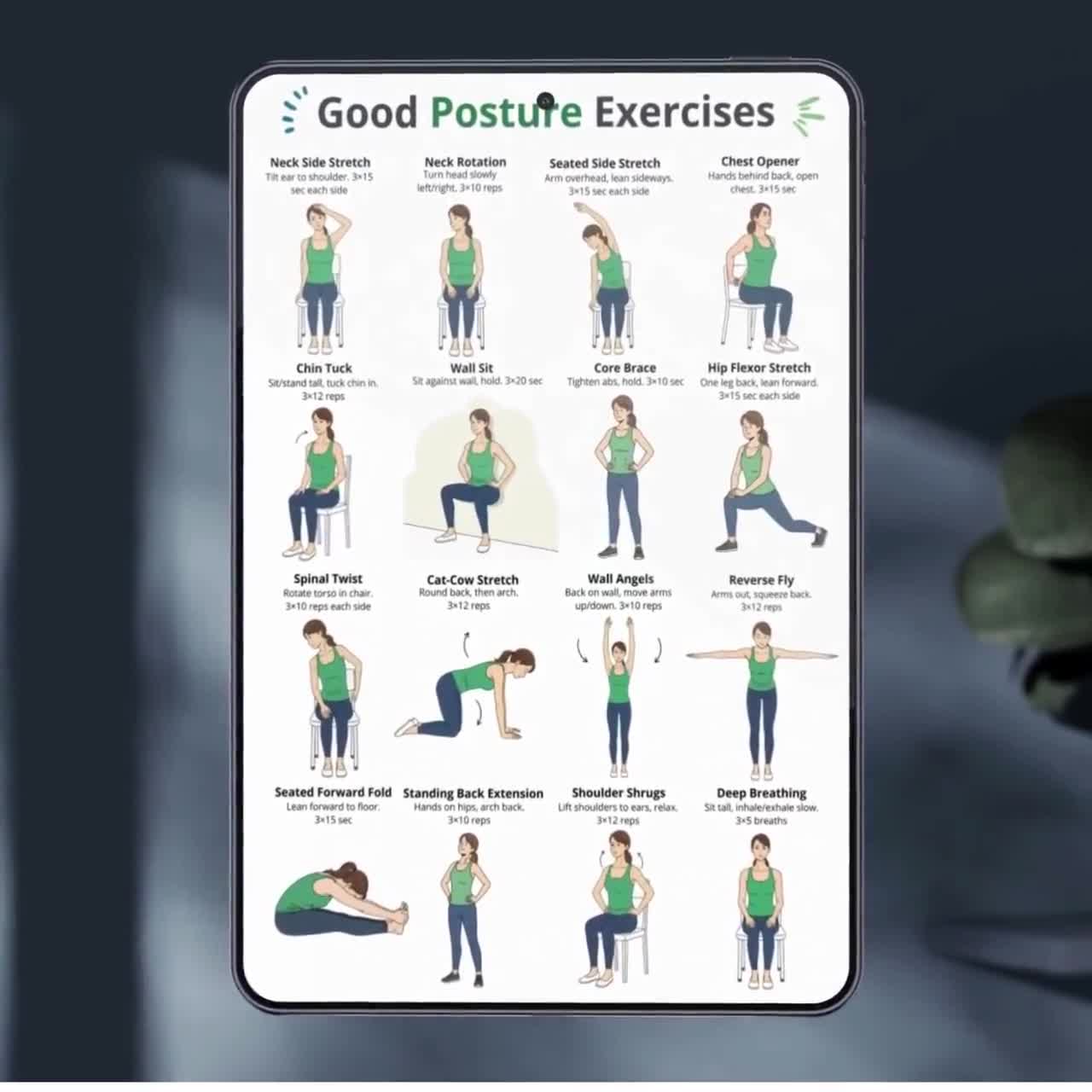 Posture Guy Mike Posture Board For Egoscue, Posture Exercises