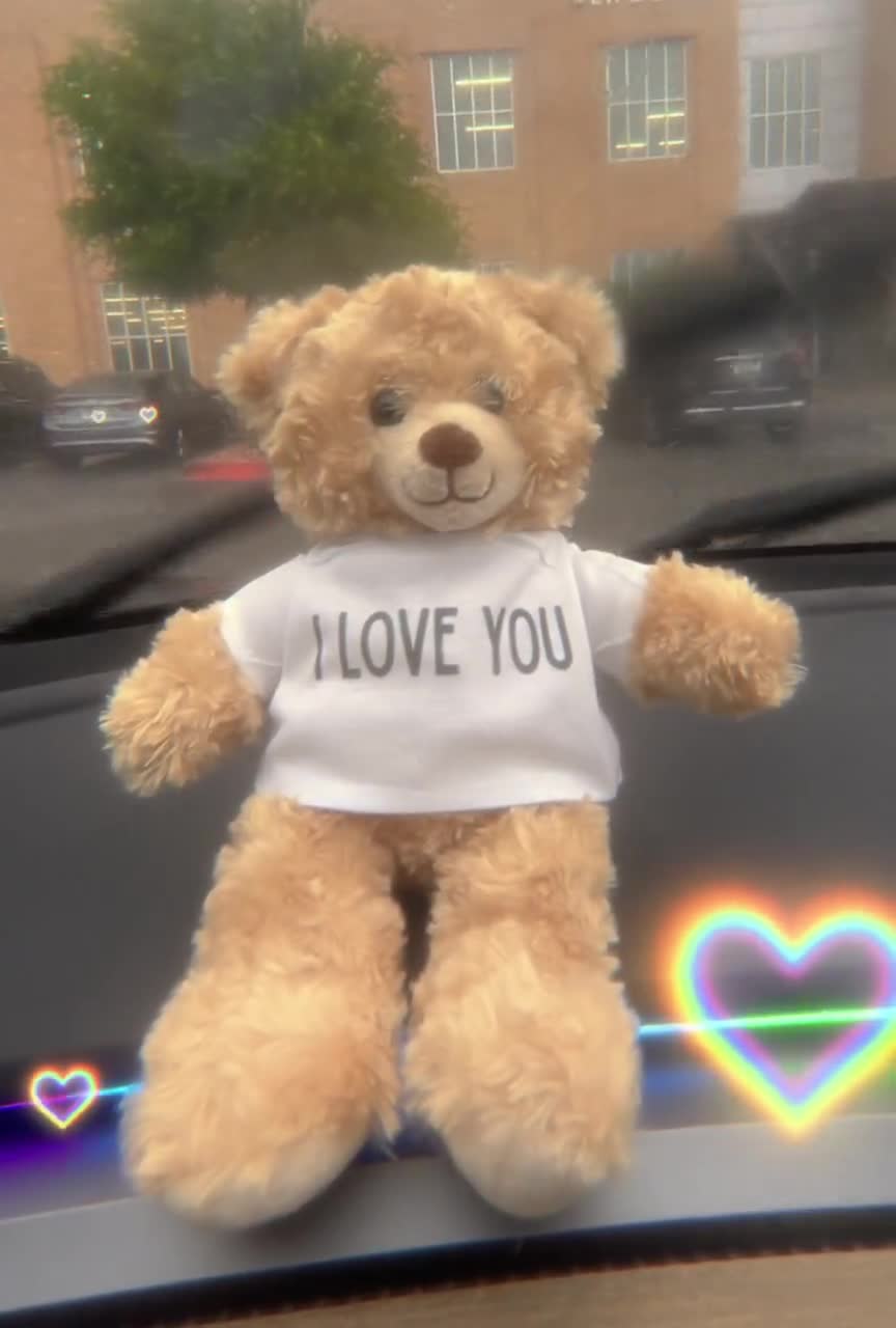 Personalized Plush Teddy Bear – Custom Text On Hoodie, 16 Inch Green Stuffed Animal Gift For Valentine's/Birthday - View #3
