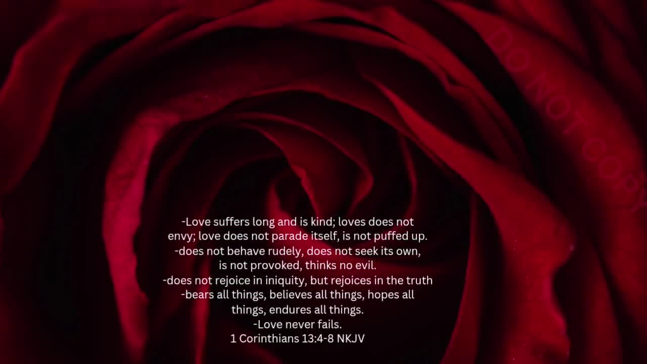 Virtueller Hintergrund | Valentinstag Hintergrund | Hintergrund | Facebook | Microsoft Teams | WebEx | Google+Meet | auf video poster