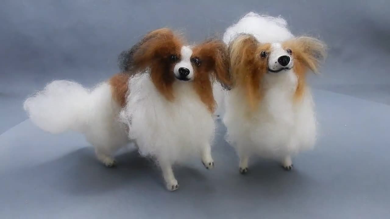 Papillon Needle Felted Dog Miniature Custom Felted Dog Replica -  Israel