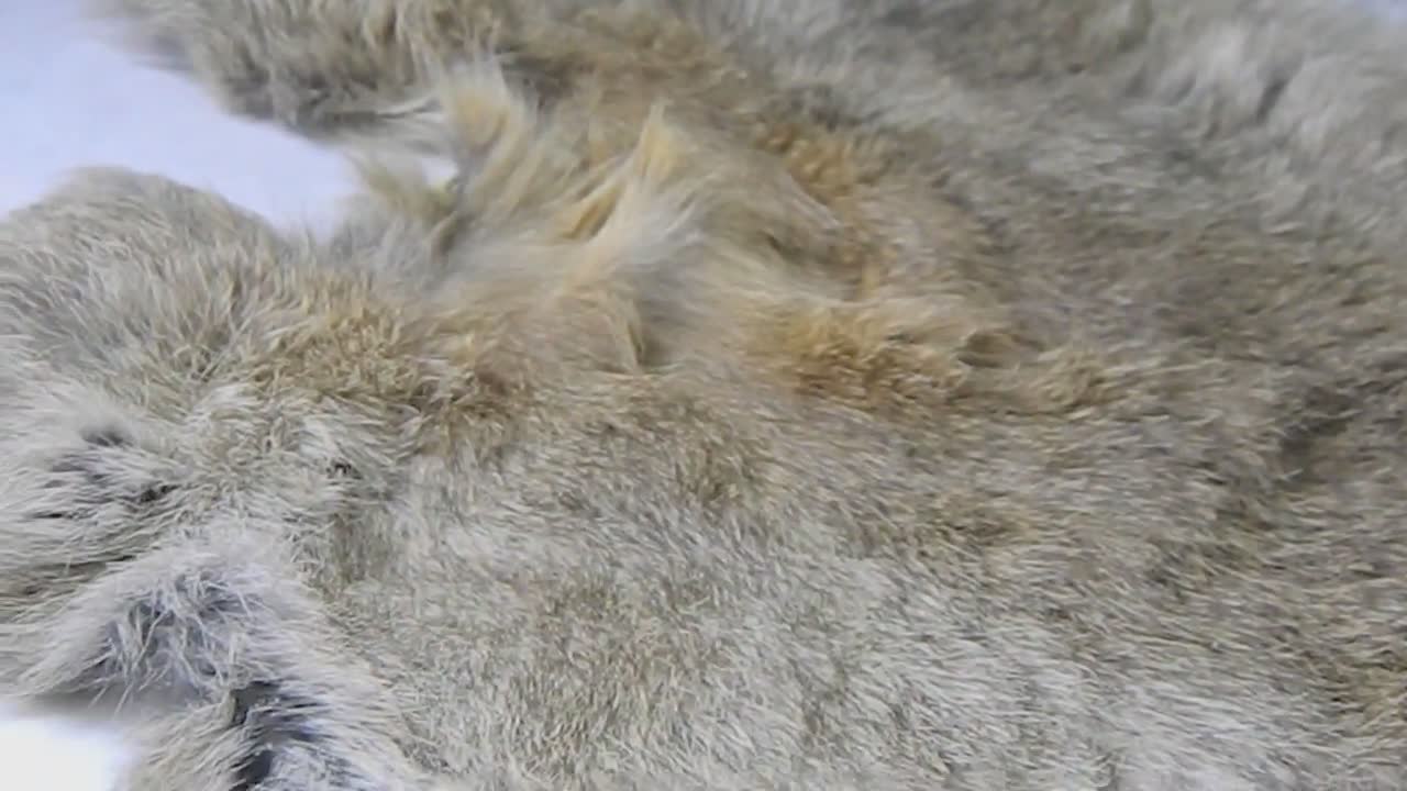 Natural Tanned Rabbit Fur Hide - Real Rabbit Fur Hide