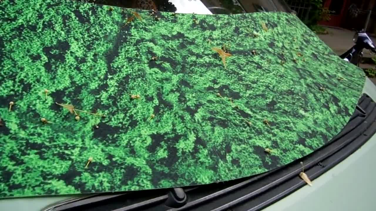 Car Cover, Windshield, Screen, Protection, Foliage, Universal, VW