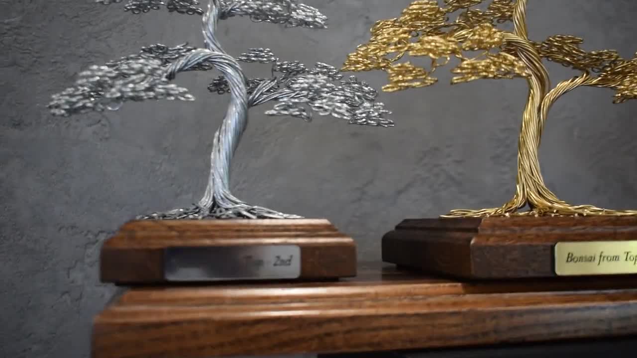 bonsai growing kit Grow Kit