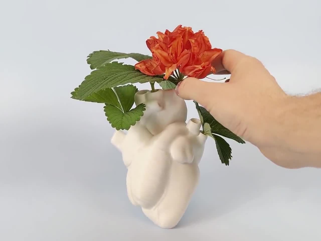 Anatomische Herz Vase - Ungewöhnliche Blumenvasen Mit Dampfmaschinen Design | Harz Dekoration