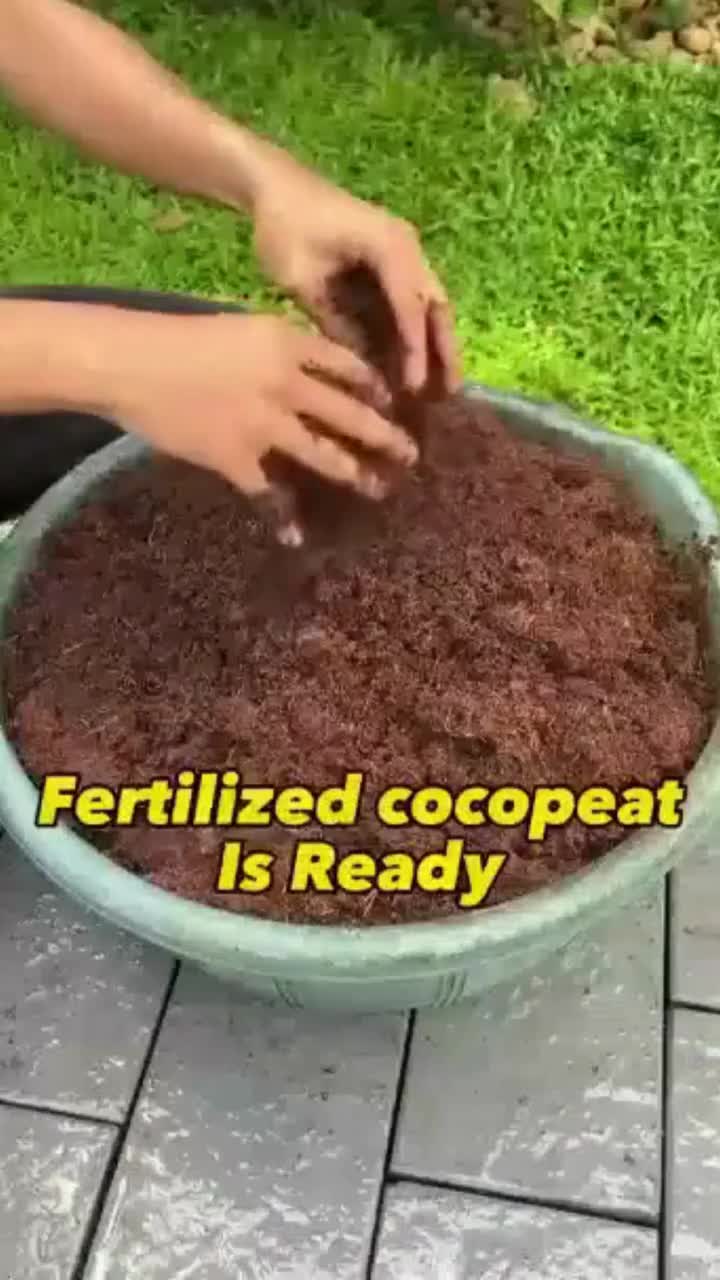 Bloque de turba de fibra de coco: suelo orgánico ultra expandible y sin taninos video poster