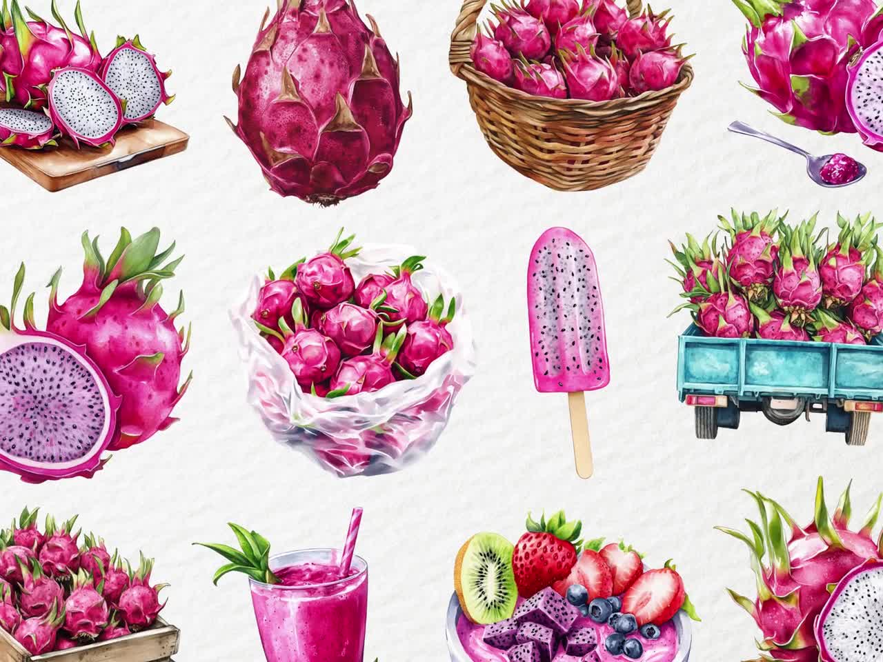 Watercolor Dragon Fruit Clipart, Pitaya Exotic Summer Fruit