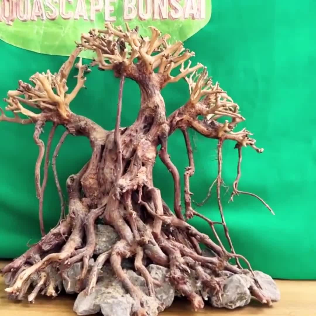 流木水槽盆栽木植物木製アクアスケープアクアスケープ盆栽流木水槽装飾