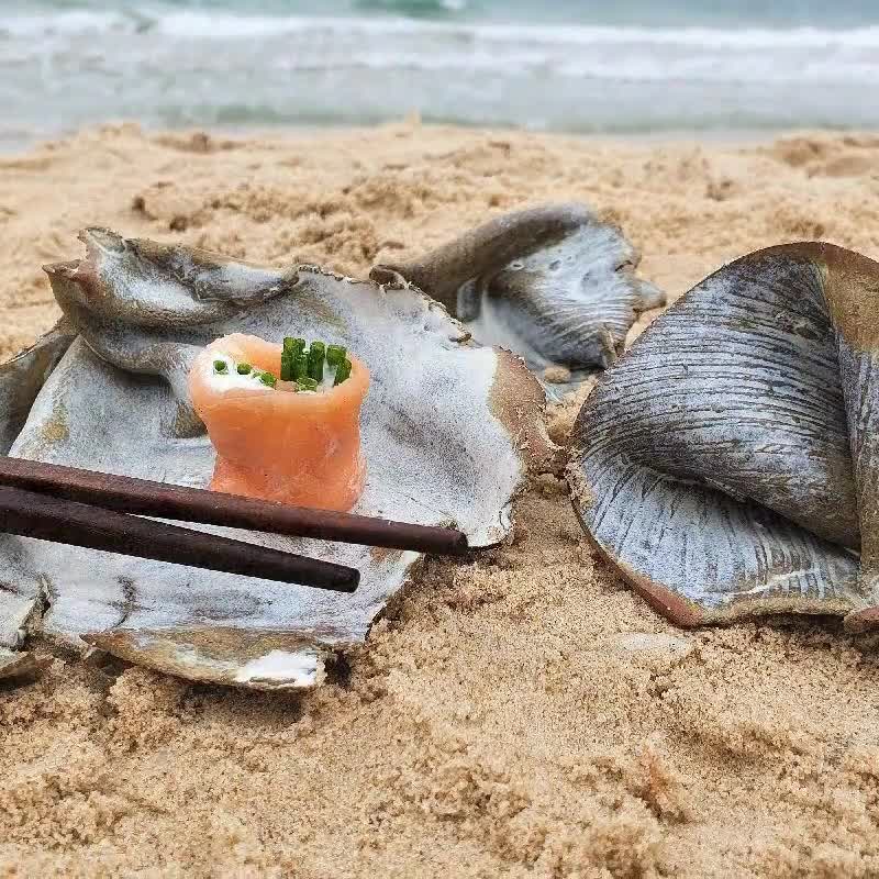 夏の飾り 3 陶器の貝殻 - Etsy 日本