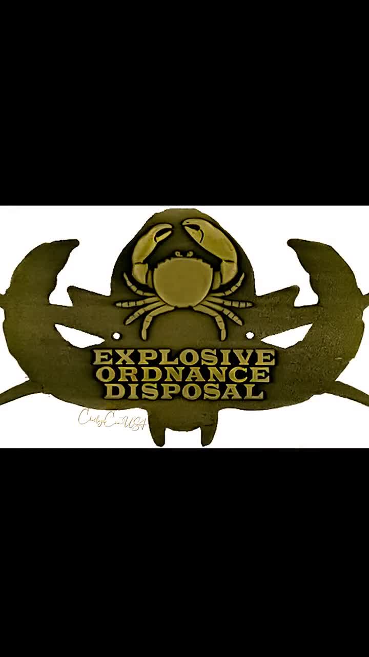 Photo of an Explosive Ordnance Disposal (EOD) basic badge on black Stock  Photo - Alamy