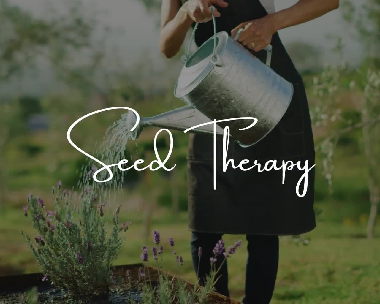 Gold Nugget Tomato Seeds – Heirloom Vegetable, Determinate Plant, Cherry Tomato, Non-GMO, Easy to Grow | 50 Seeds video poster