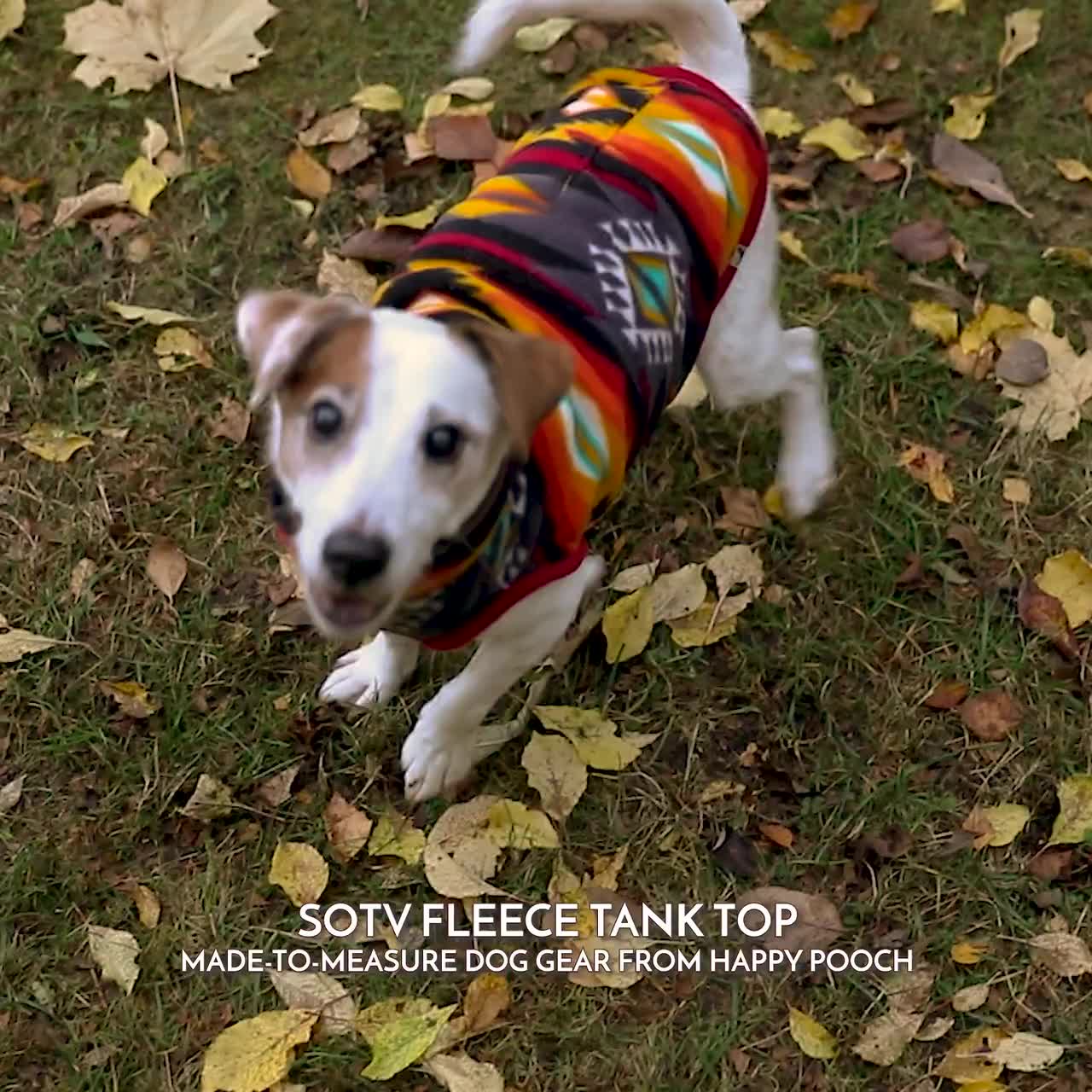 Dog Fleece Tanktop, Aztec Dog Sweater, Warm Dog Apparel, Dog