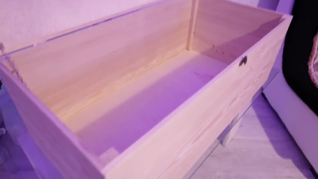 Cassapanca portagiochi XL personalizzata/Custodia dei ricordi/Contenitore/Regalo/Prestito di Natale/Baby shower/Nipote, Decorazione per la casa video poster