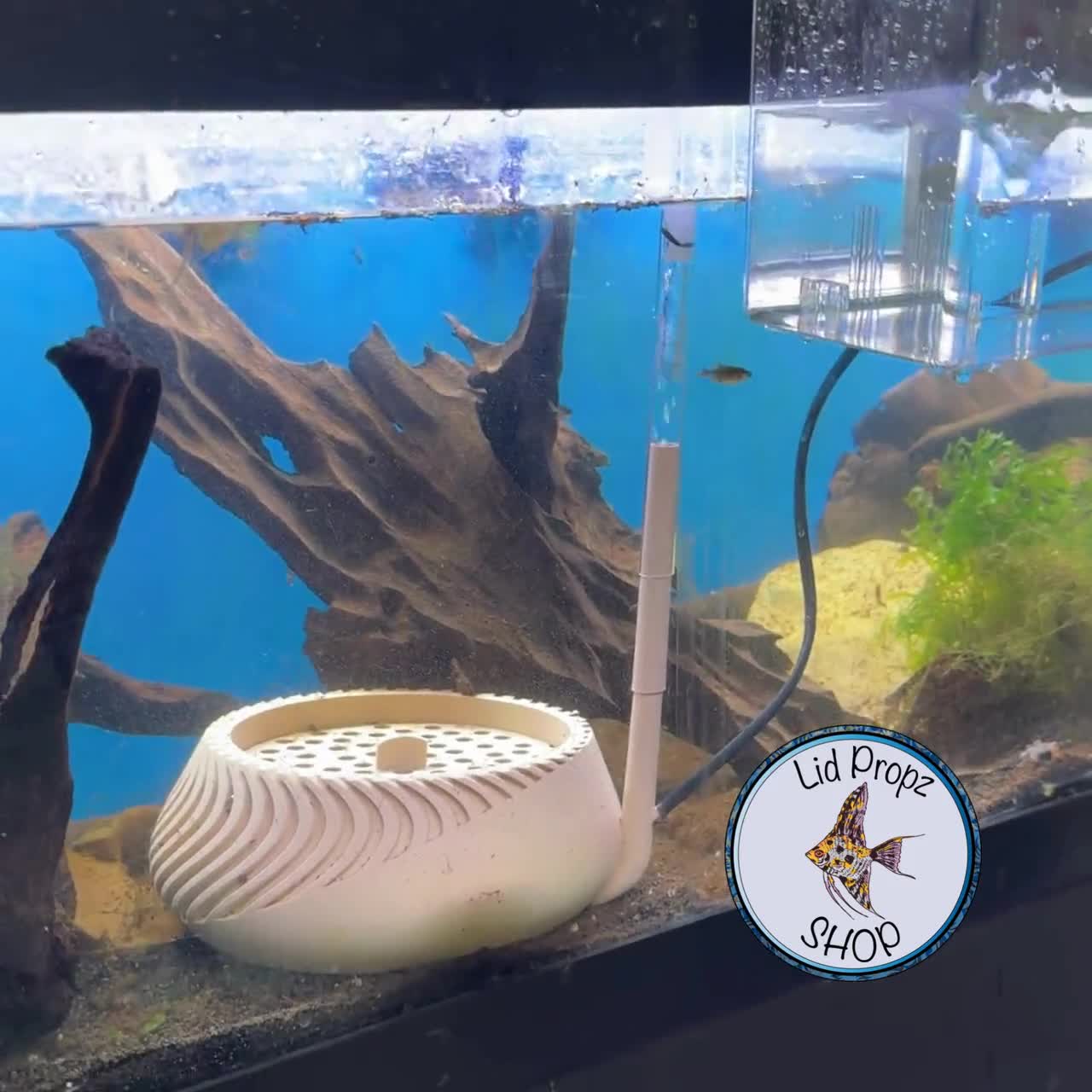 egg box for fish tank Incubator and Tumbler: Aquarium Cichlid Hatchery with Inbuilt Air Pump peaceful aquatic environments with Bubble Magus Aquarium Dividers. Aquarium Fish Egg Collector Breeding