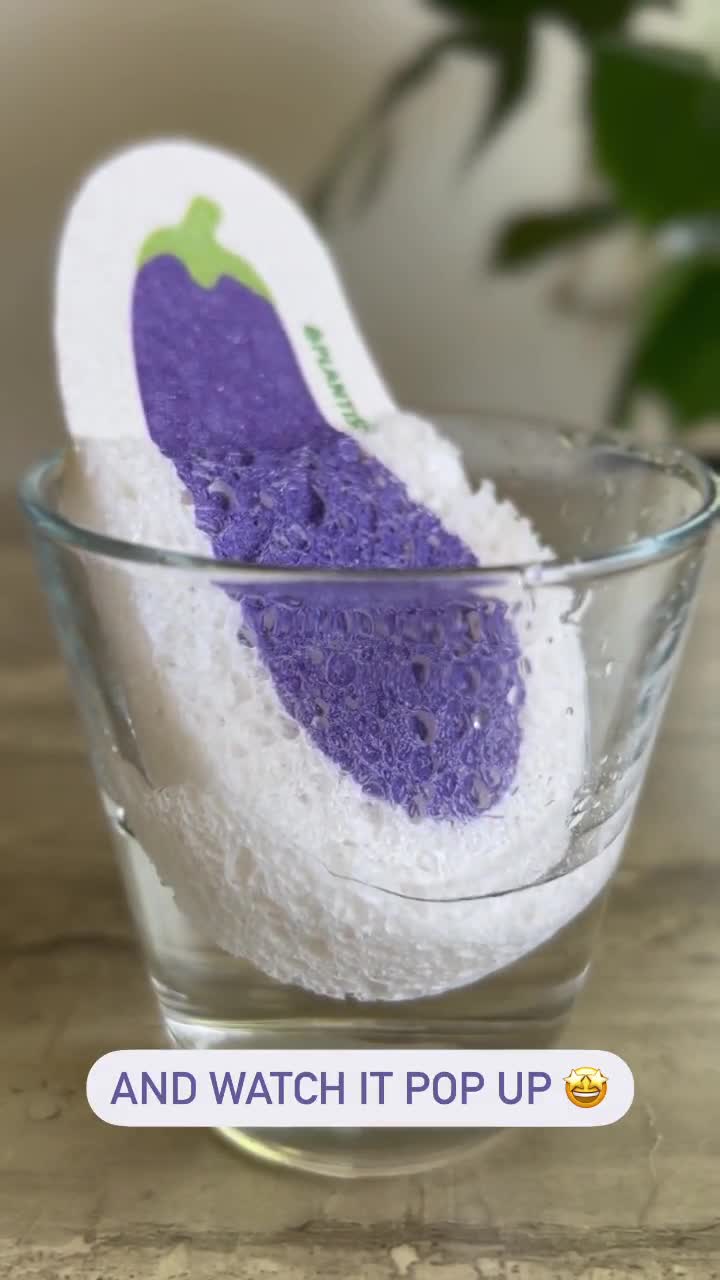 https://v.etsystatic.com/video/upload/q_auto/Eggplant_Pop-Up_Sponge_unceyb.jpg