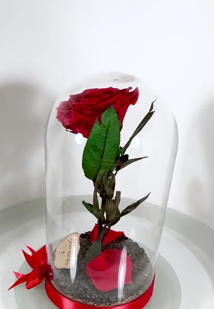 Deluxsa Rosa Eterna In Cupola Di Vetro Con Luci LED – Regalo Arcobaleno Per San Valentino, Festa Della Mamma, Compleanno, Decorazione Romantica