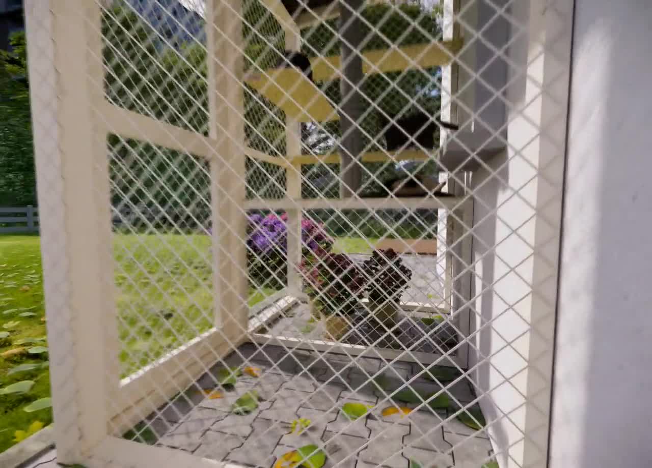 DIY Outdoor Catio Plans for Cats | Small Wooden Cat Enclosure | Easy  Weekend Build Cat Patio | Printable PDF Cat House Plans