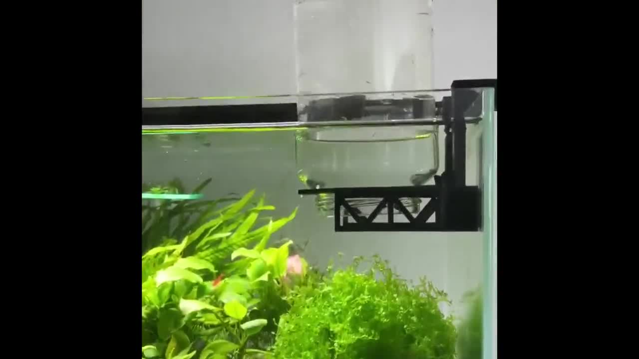Fish Tank Ornament Realistic Solid Fish Tank Shelter Dominican