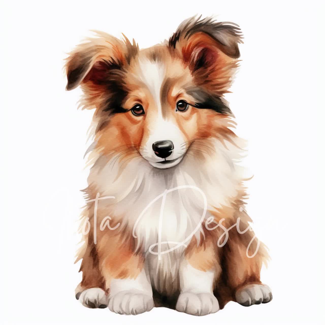 シェットランド・シープドッグの子犬のクリップアートJPG、シェルティ