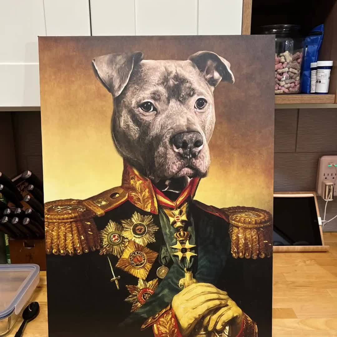 Custom Warrior Dog Portrait, Fighter Dog Portrait, Custom Pet Portrait,  Battlefield Dog Art, Pet Portrait, Dog lovers, Fantasy Pet Portrait