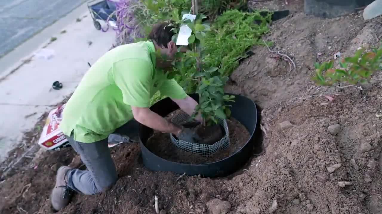 MED Dirt Locker® Tree/Plant Rings Medium
