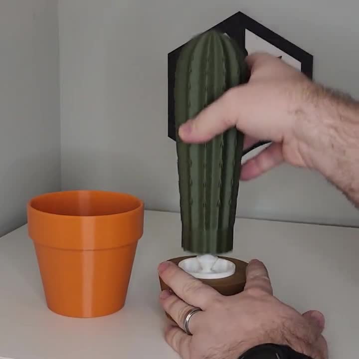 3D Printed Cactus Toothpick Dispenser House Plant | Cacti