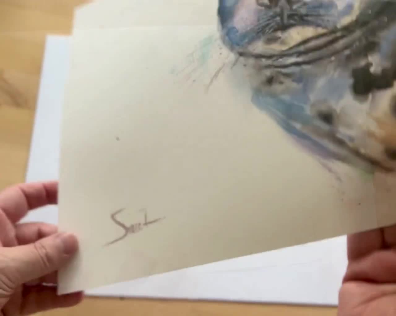 アザラシの水彩画アートプリント - 鮮やかな海の生き物の絵画 - Etsy 日本