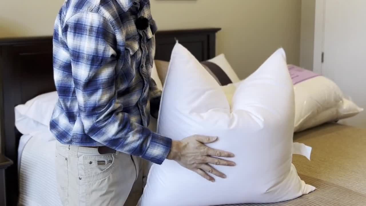 23x23 best sale pillow insert