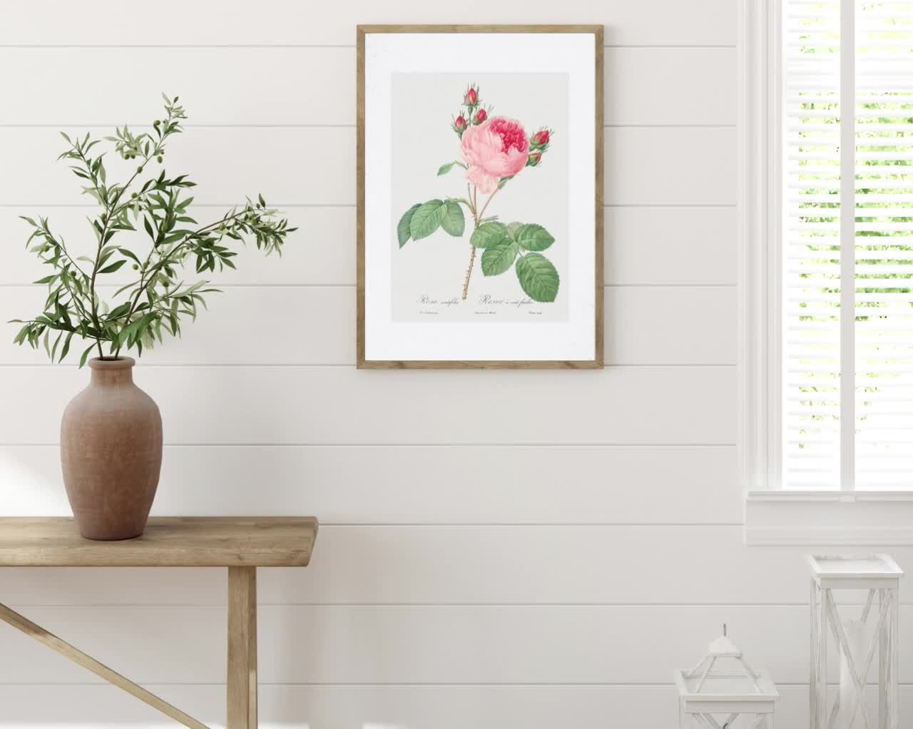 Vintage Redoute Pink Rose PRINTABLE Wall Art. Floral Cottagecore Digital  Download. Sizes Include 8x10, 16x20, 18x24, A2, A3, A4, 11x14 Inch 