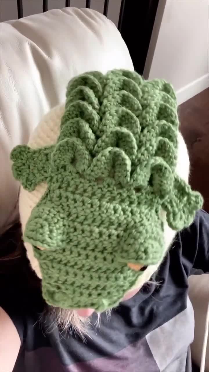 CROCHET PATTERN Snappy Simon the Crocodile Animal Hat -  Australia