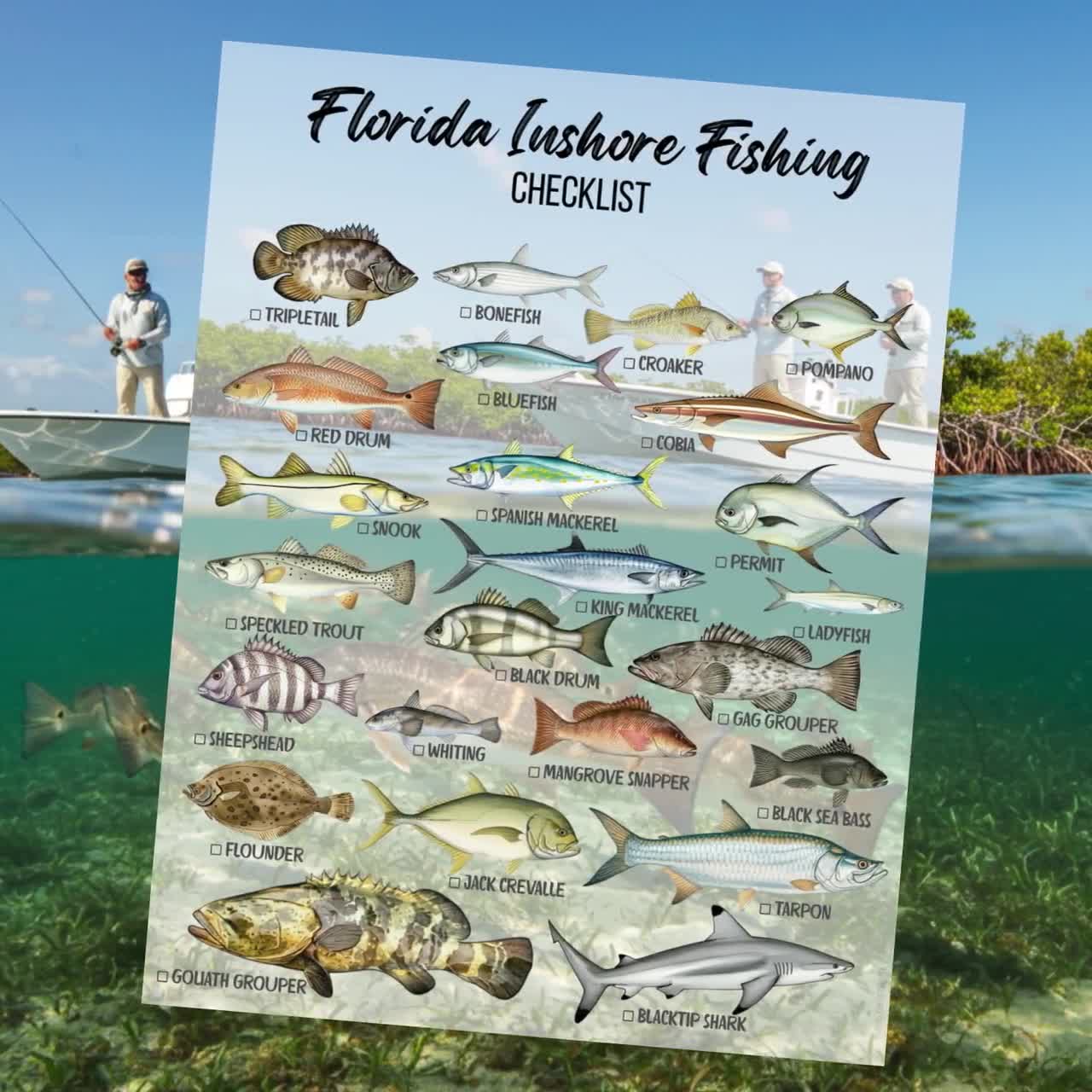 FLInshoreFishing_ads_qn5fi9.jpg
