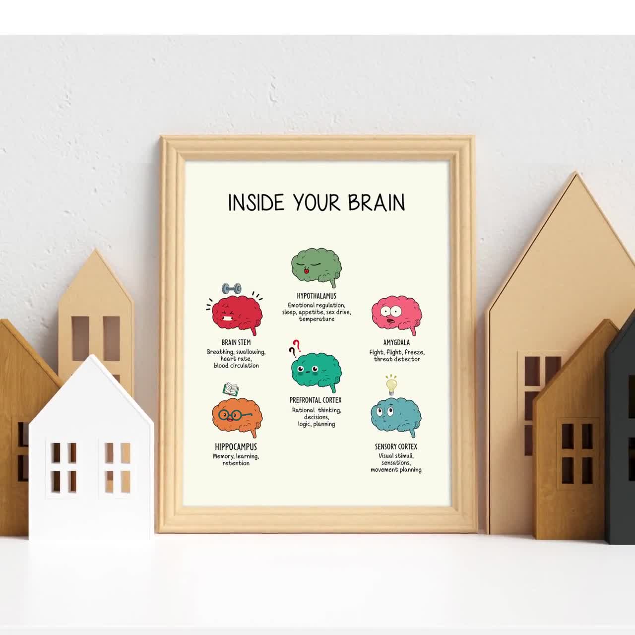 Brain Functions Poster Inside Your Brain the Human Brain