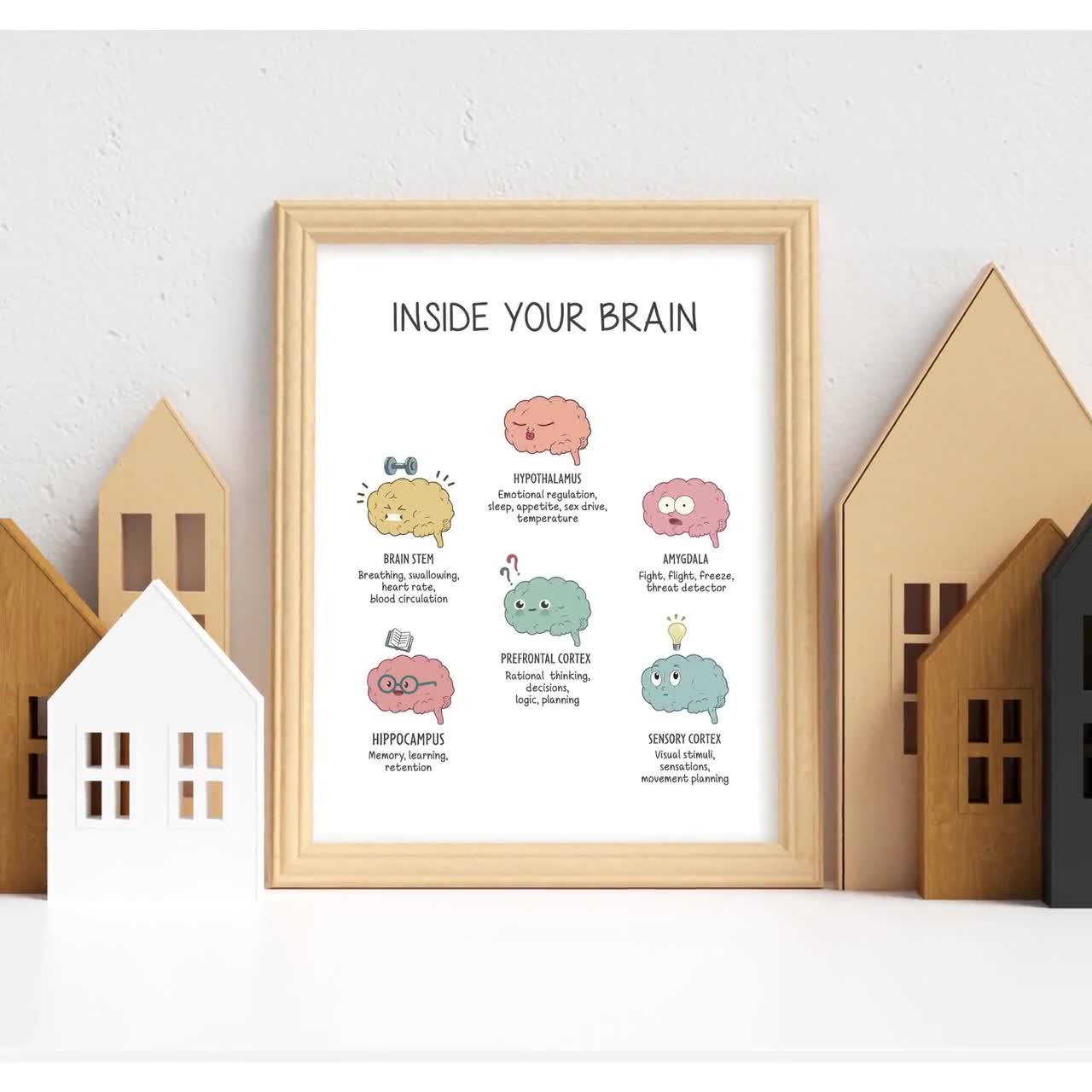 Brain Functions, The Human Brain Poster, Brain Model, Therapy Office Decor,  Brain Anatomy