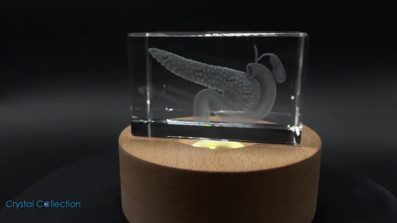 Ricordo | Logo Crystal – Regali e Souvenir in Cristallo 3D Personalizzati