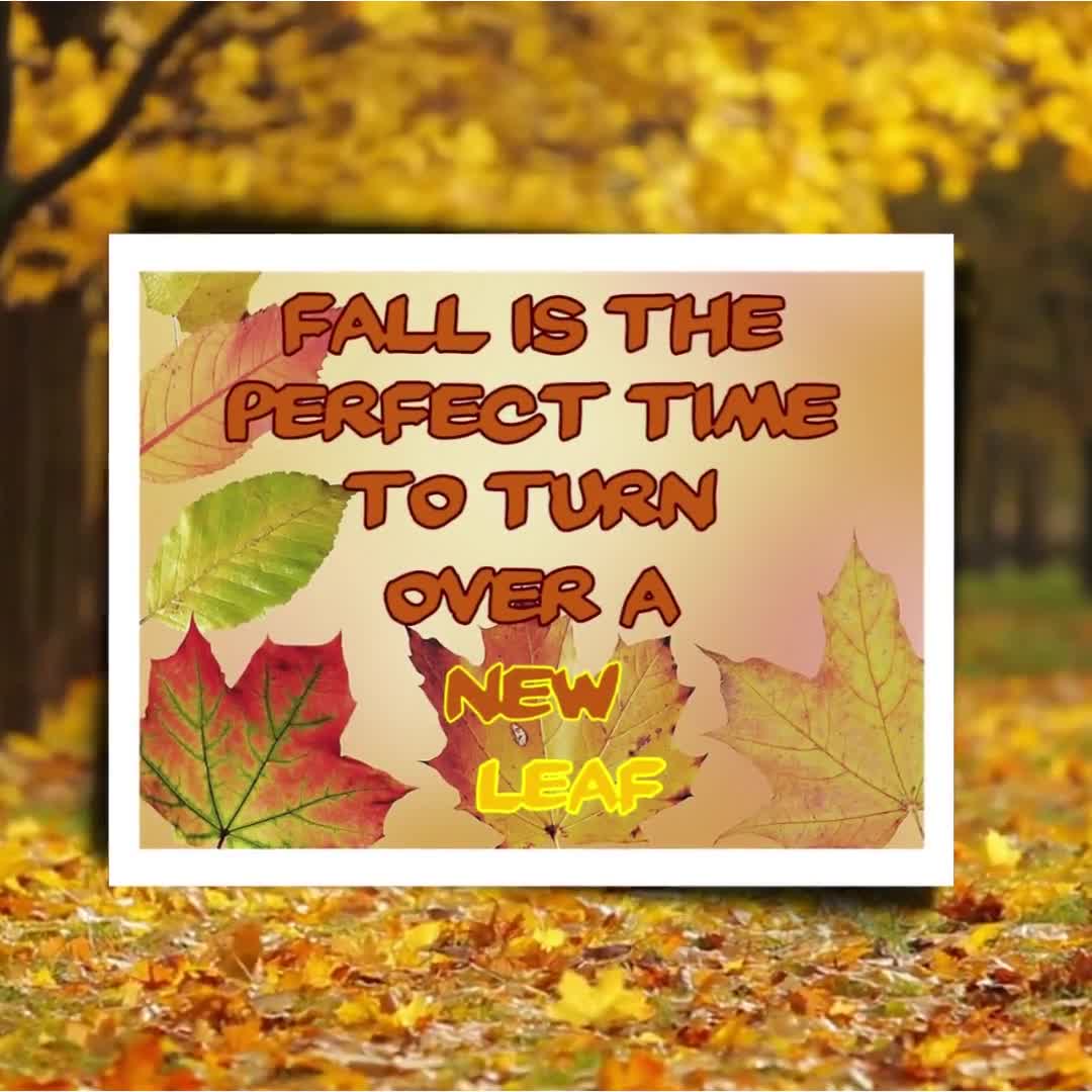 Good Fall Quotes 89 Beautiful Fall Quotes To Fall In Love With The