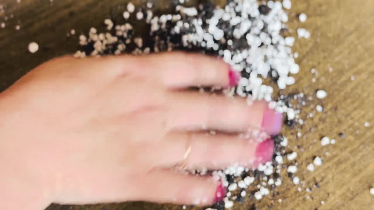 Sustrato fino para germinación a base de tierra bioactiva y perlita fina. Ideal para la propagación de plántulas y esquejes. Sustrato para macetas de 8,5 L. video poster