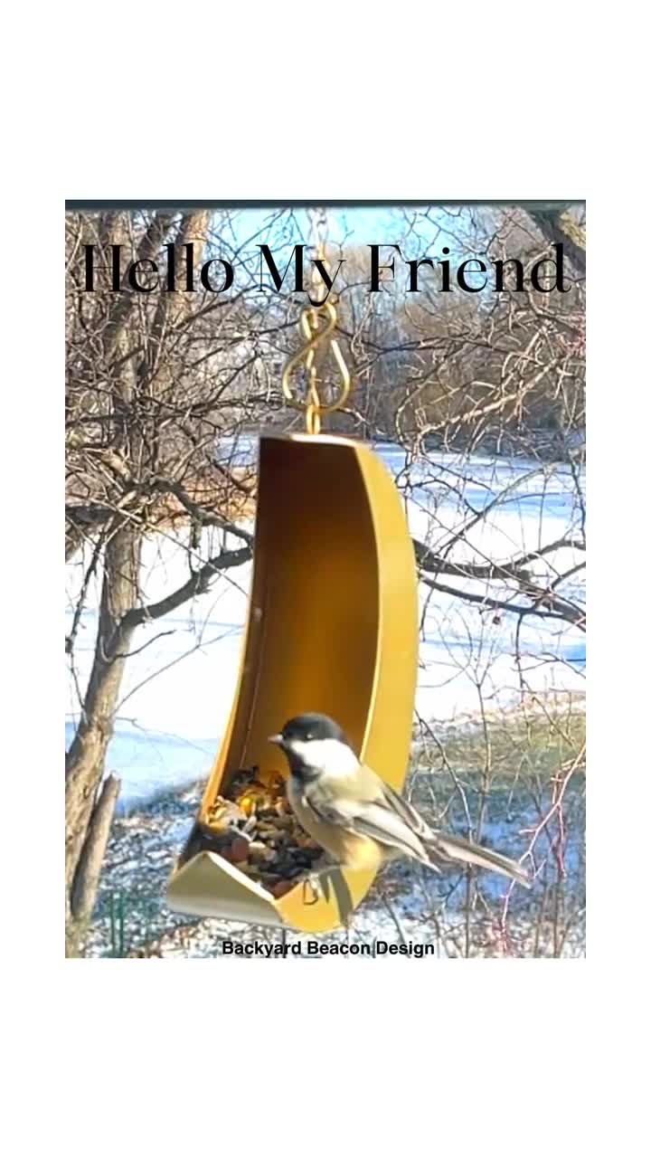 Fly-through Hanging Bird Feeder Metal Copper Bird Feeder Gift Easy Cleaning  and Filling Feeder Squirrel Proof Bird Feeder Patio Decor 