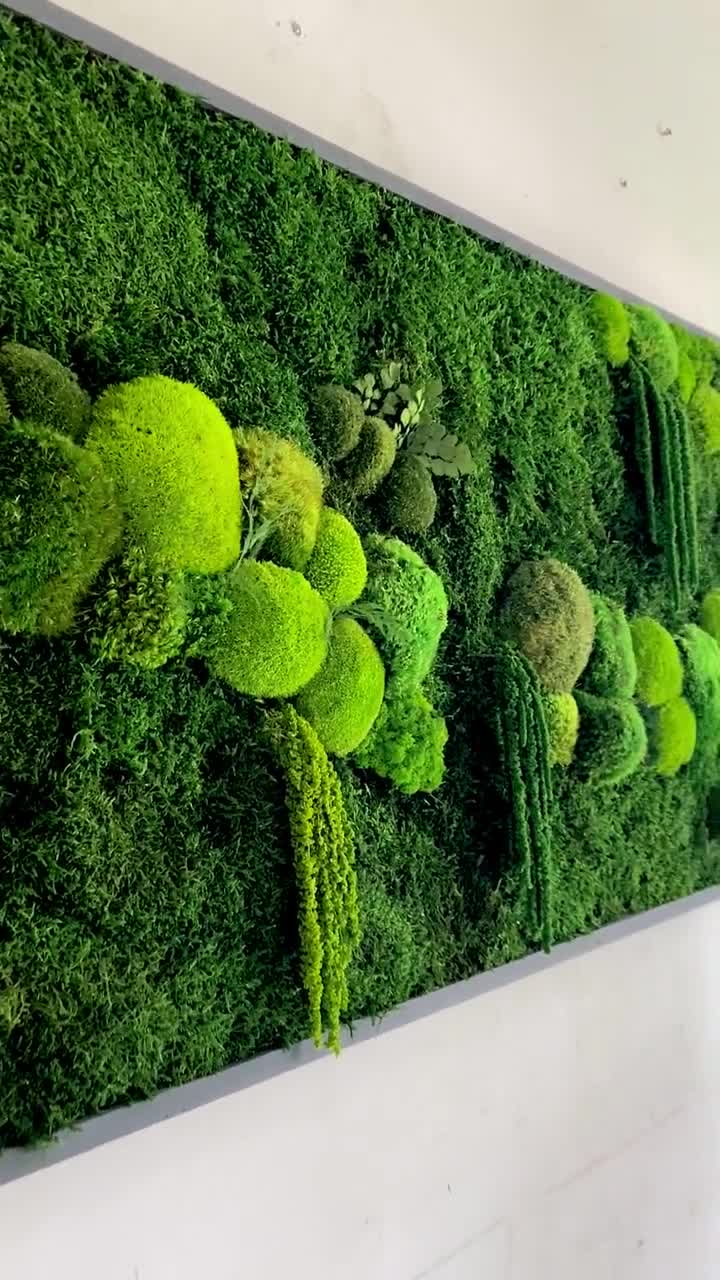 Moss Wall - Rectangular Mixed Moss Wall Art - Mossartify