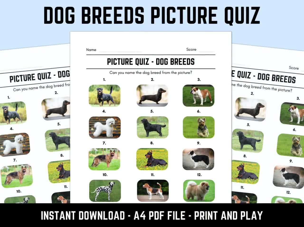 Picture Quiz Answers Dog Selector Quiz Printable Dog Breeds