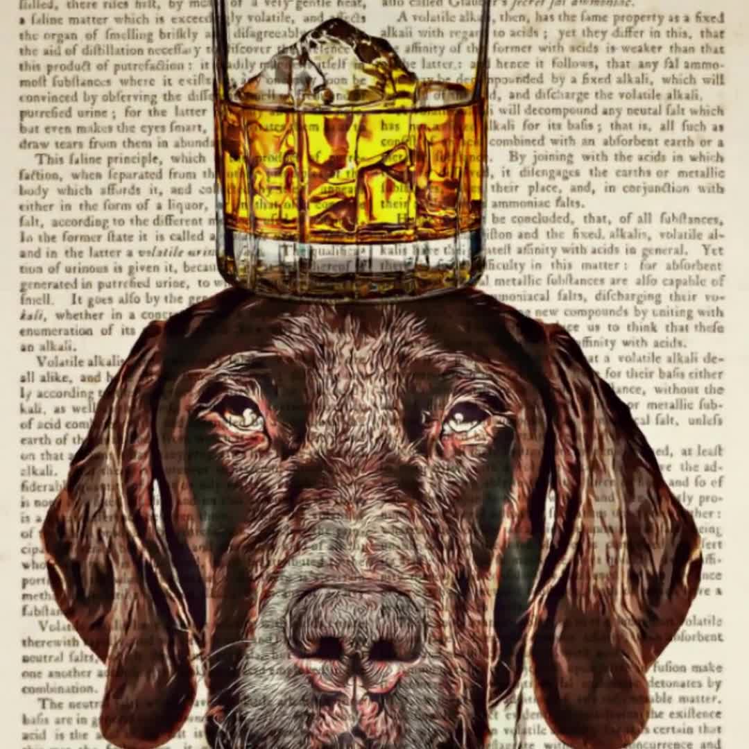 Gsp, german shorthaired pointer, dog, shops pointer, bourbon, whisky, whiskey, CANVAS, bar art