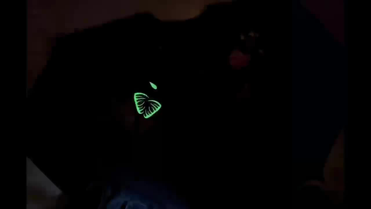 Angler Fish Finding Nemo Ride