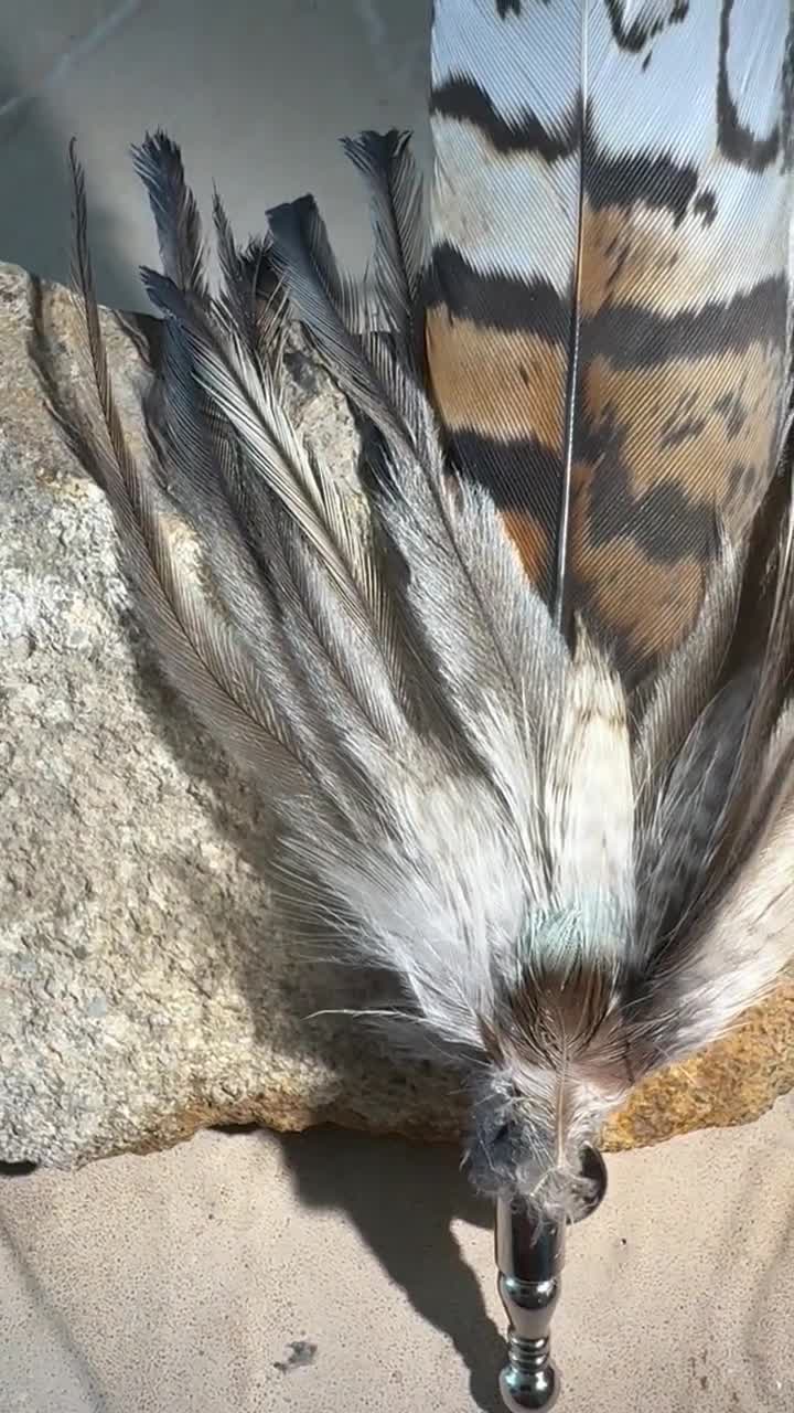 Real Feathers Natural and Dyed Hat Pin / Hair Accessories of Variety of in Sizes Ranging From Real Feathers Natural and Dyed Hat Pin / Hair Accessories of Variety of in Sizes Ranging From